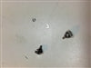 Forerunner Button - Used